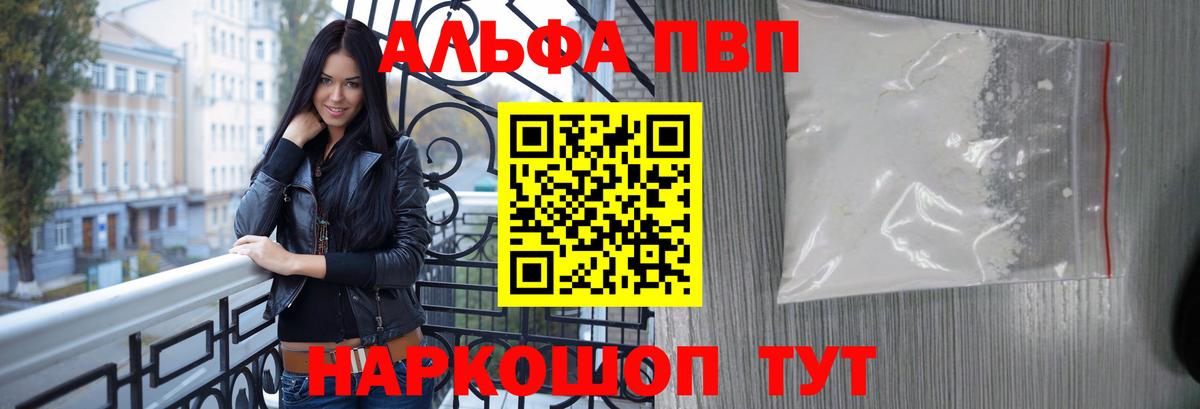 Альфа ПВП СК Губкин