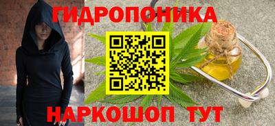 стафф Бийск