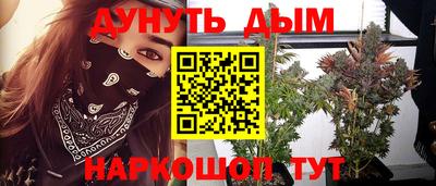 стафф Бийск