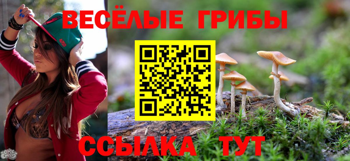 Псилоцибиновые грибы мухоморы  Галлюциногенные грибы Psilocybine cubensis  Вход с VPN  Губкин 